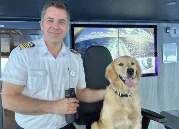 Chief Dog Officer Rover on the Icon of the Seas